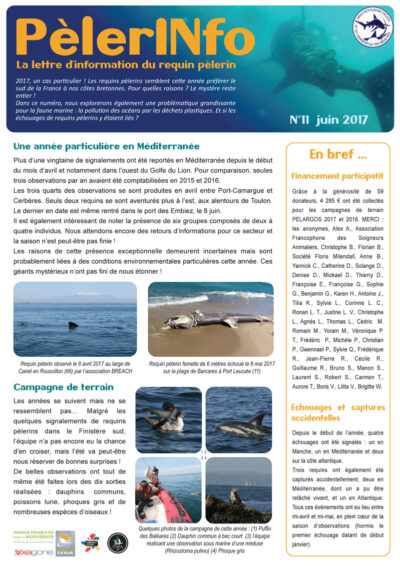 PèlerINfo n°11