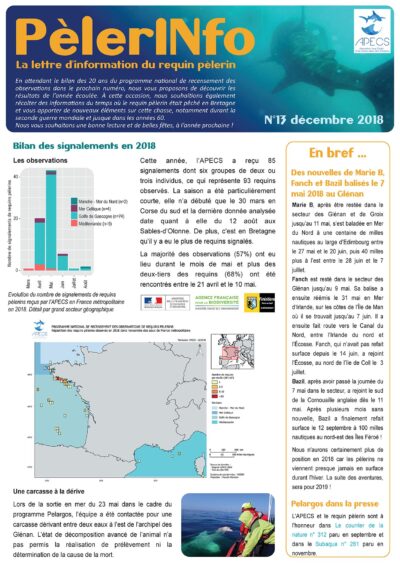 PèlerINfo n°13