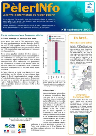 PèlerINfo n°16