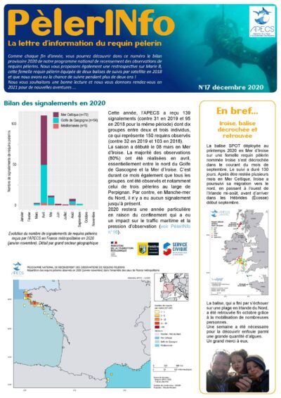 PèlerINfo n°17