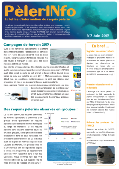 PèlerINfo n°7