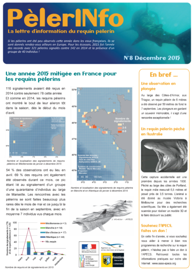 PèlerINfo n°8
