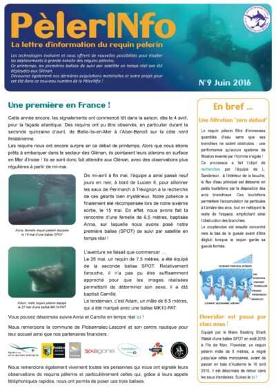 PèlerINfo n°9
