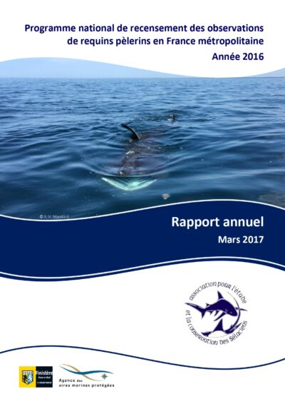 Bilan annuel 2016 du programme de recensement des observations de requins pèlerins