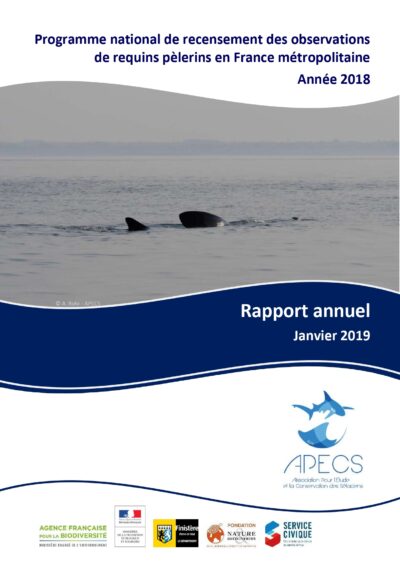 Bilan annuel 2018 du programme de recensement des observations de requins pèlerins