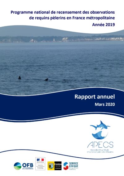 Bilan annuel 2019 du programme de recensement des observations de requins pèlerins