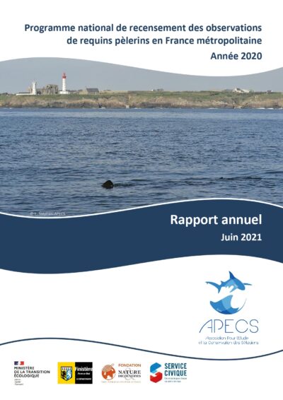 Bilan annuel 2020 du programme de recensement des observations de requins pèlerins