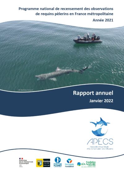 Bilan annuel 2021 du programme de recensement des observations de requins pèlerins
