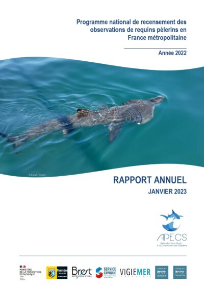 Bilan annuel 2022 du programme de recensement des observations de requins pèlerins