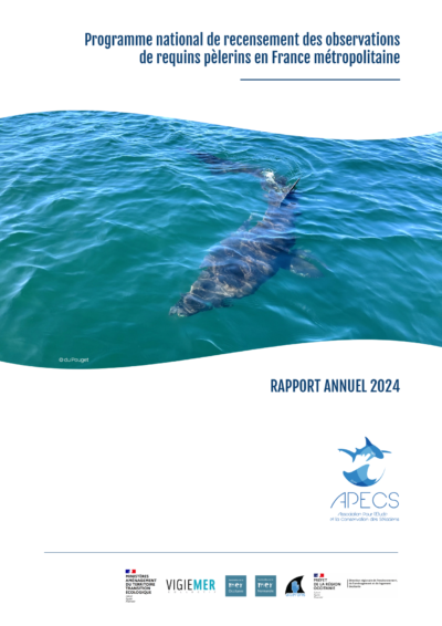 Bilan annuel 2024 du programme de recensement des observations de requins pèlerins