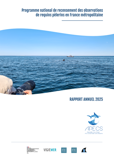 Bilan annuel 2025 du programme de recensement des observations de requins pèlerins