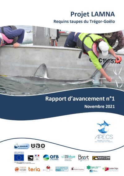 Rapport d&rsquo;avancement 2021