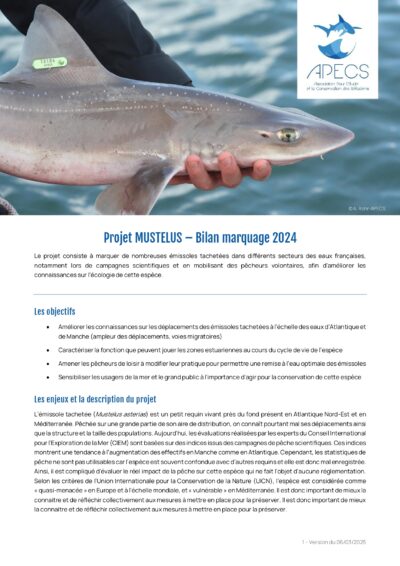 Bilan 2024 du projet MUSTELUS
