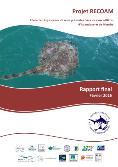 Projet RECOAM. Rapport final