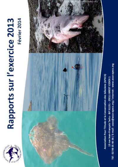 Rapports annuels 2013