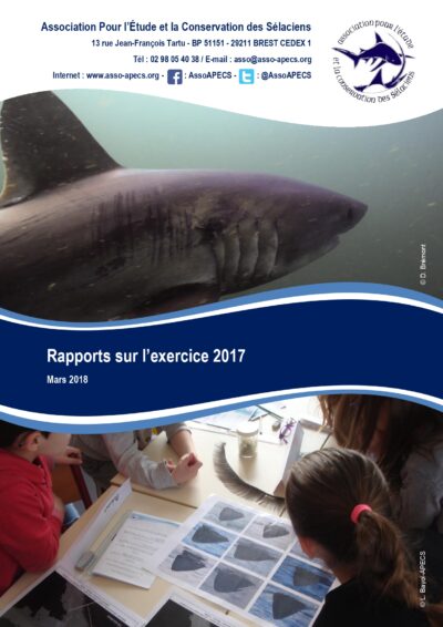 Rapports annuels 2017