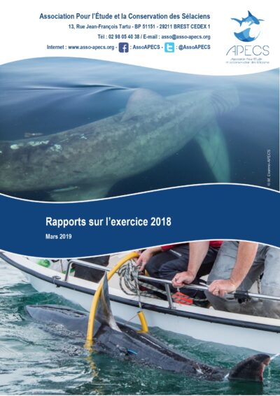 Rapports annuels 2018