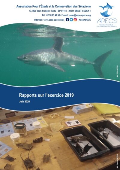 Rapports annuels 2019
