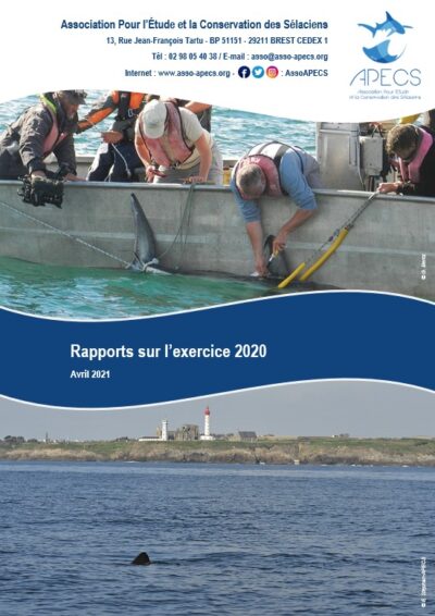 Rapports annuels 2020