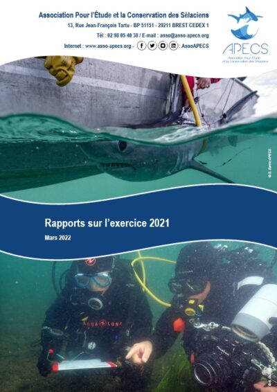Rapports annuels 2021