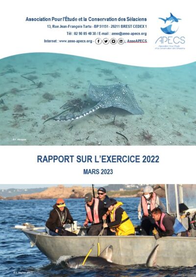 Rapports annuels 2022