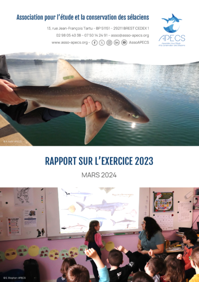 Rapports annuels 2023