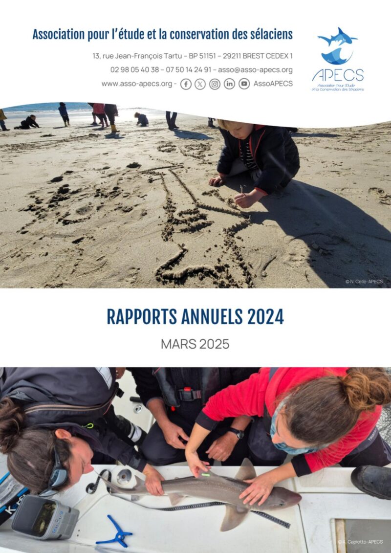 APECS Découvrez le bilan de notre année 2024