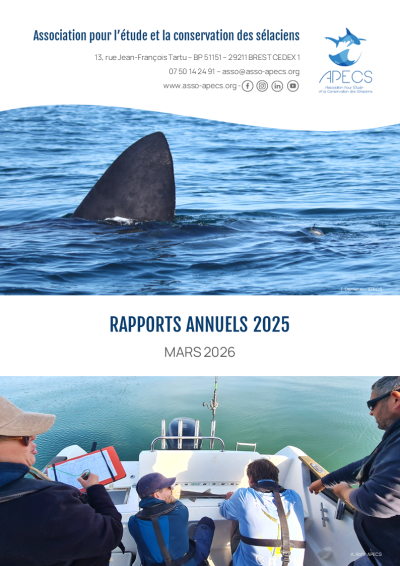 Rapports annuels 2025