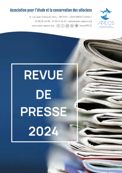 Revue de presse 2024
