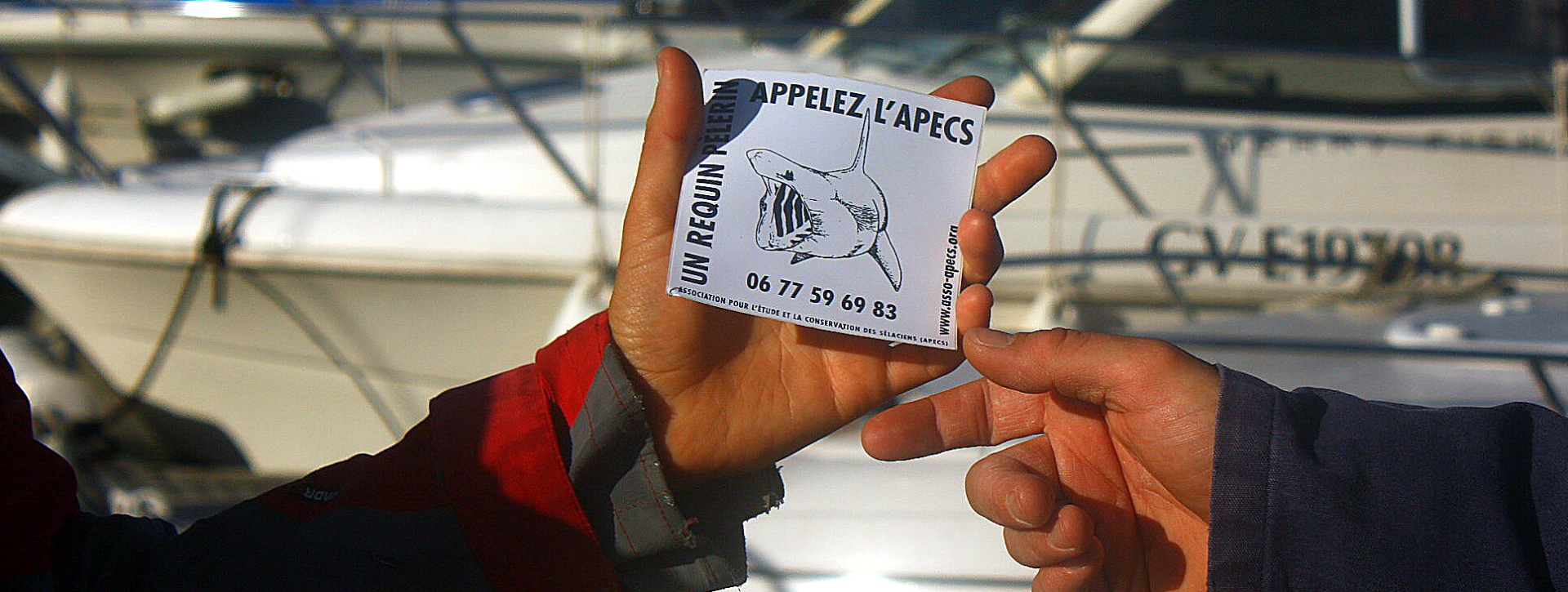 APECS L. Beauverger-APECS
