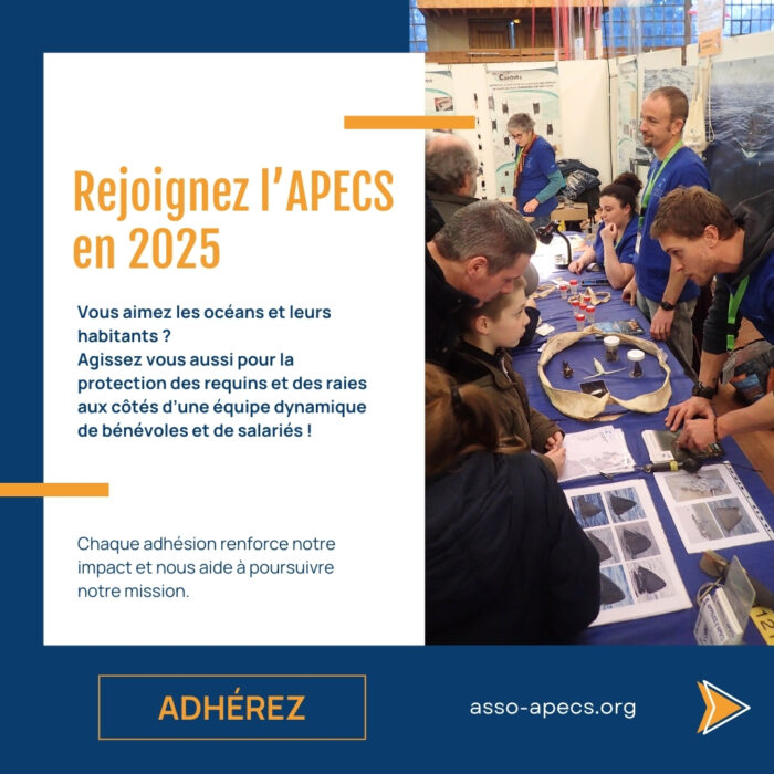 APECS Rejoignez l&rsquo;APECS en 2025