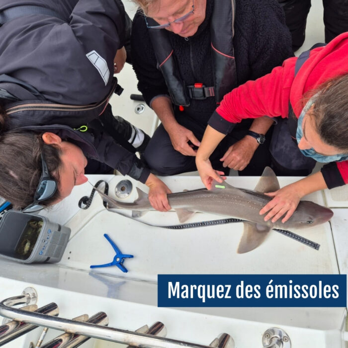 APECS Rejoignez l&rsquo;APECS en 2025