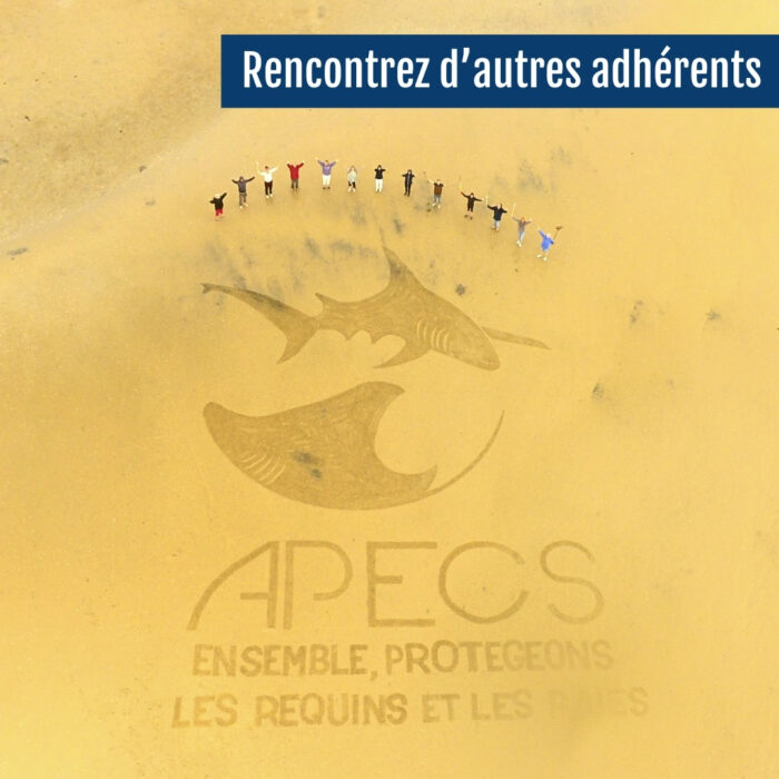 APECS Rejoignez l&rsquo;APECS en 2025