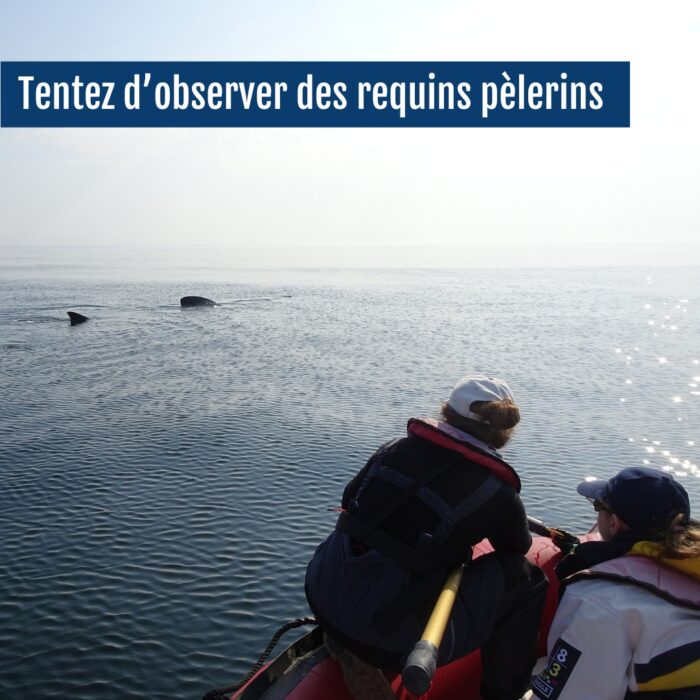 APECS Rejoignez l&rsquo;APECS en 2025