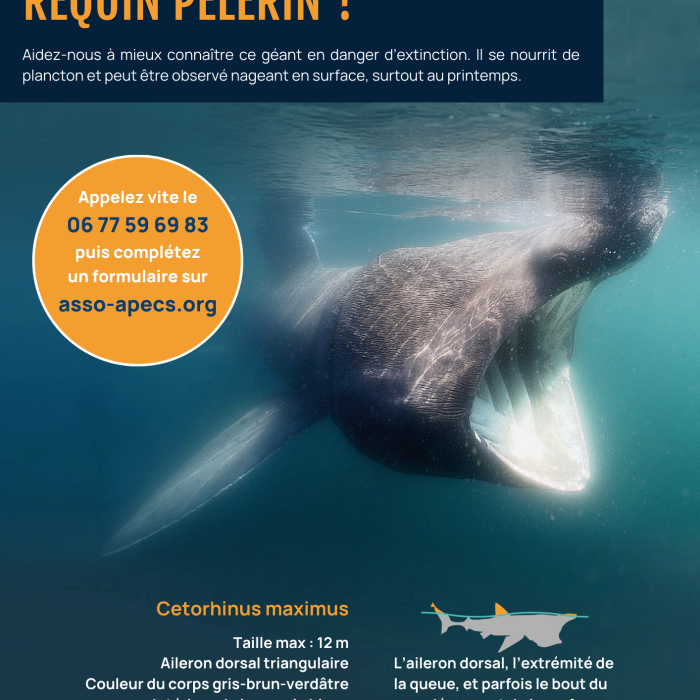 APECS Campagne d&rsquo;affichage 2026