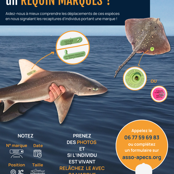 APECS Campagne d&rsquo;affichage 2026
