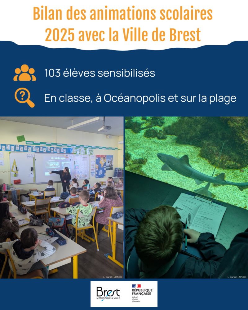 APECS Bilan des animations scolaires avec la Ville de Brest