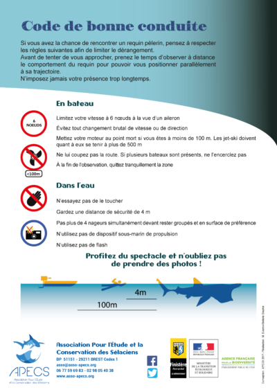 Requin pèlerin : plaquette de présentation et code de bonne conduite