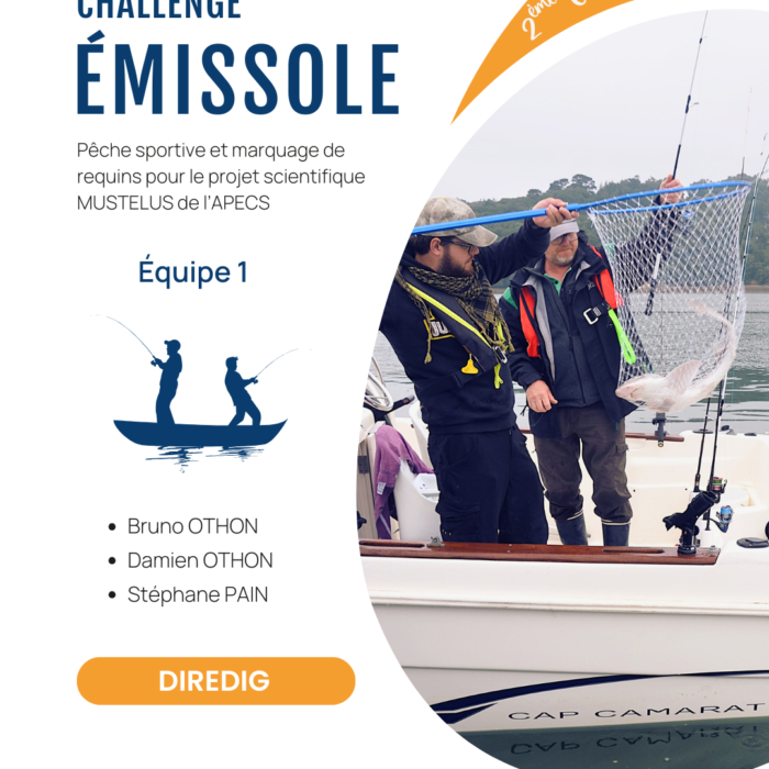 APECS Bilan de la seconde édition du challenge émissole