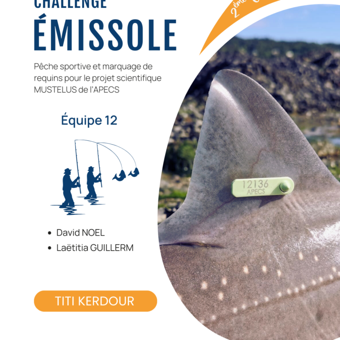 APECS Bilan de la seconde édition du challenge émissole