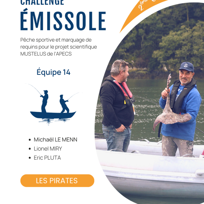 APECS Bilan de la seconde édition du challenge émissole