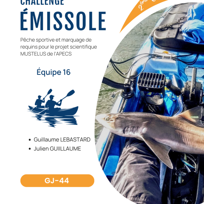 APECS Bilan de la seconde édition du challenge émissole