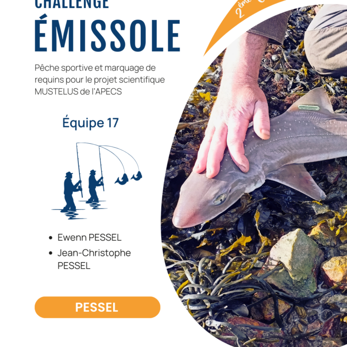 APECS Bilan de la seconde édition du challenge émissole