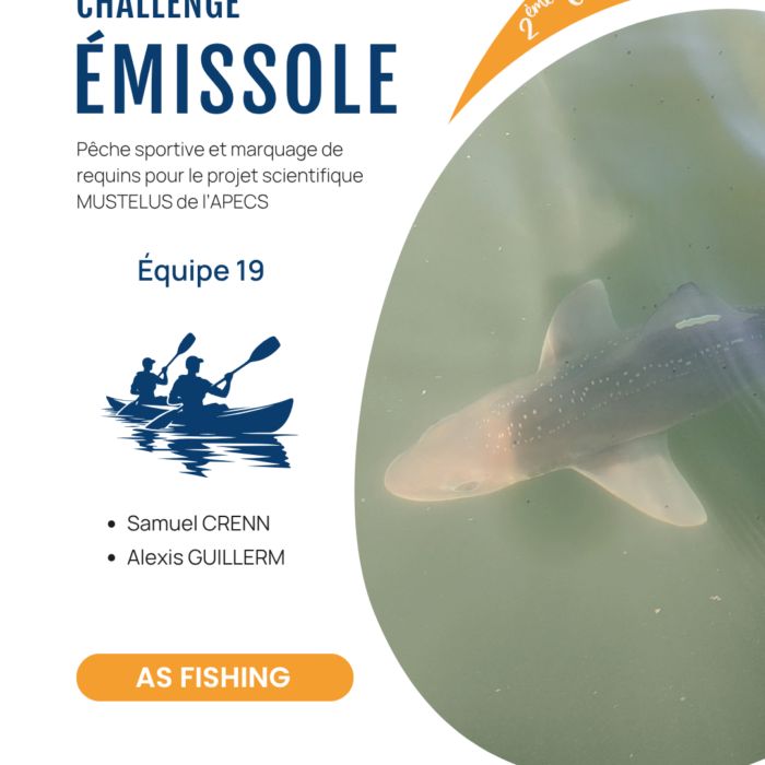 APECS Bilan de la seconde édition du challenge émissole