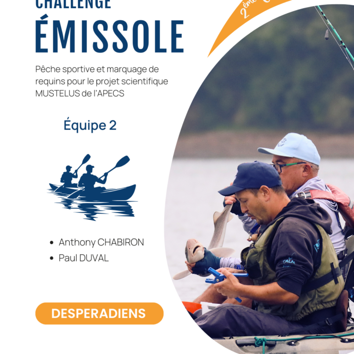 APECS Bilan de la seconde édition du challenge émissole