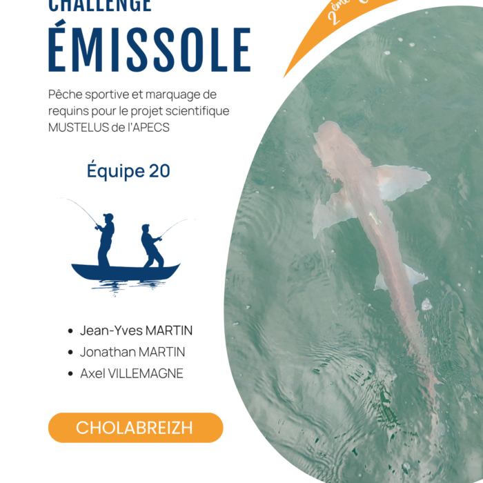 APECS Bilan de la seconde édition du challenge émissole