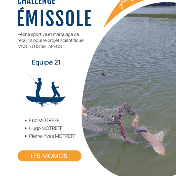 APECS Bilan de la seconde édition du challenge émissole