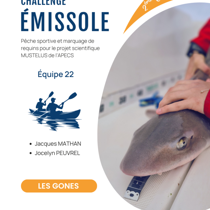 APECS Bilan de la seconde édition du challenge émissole