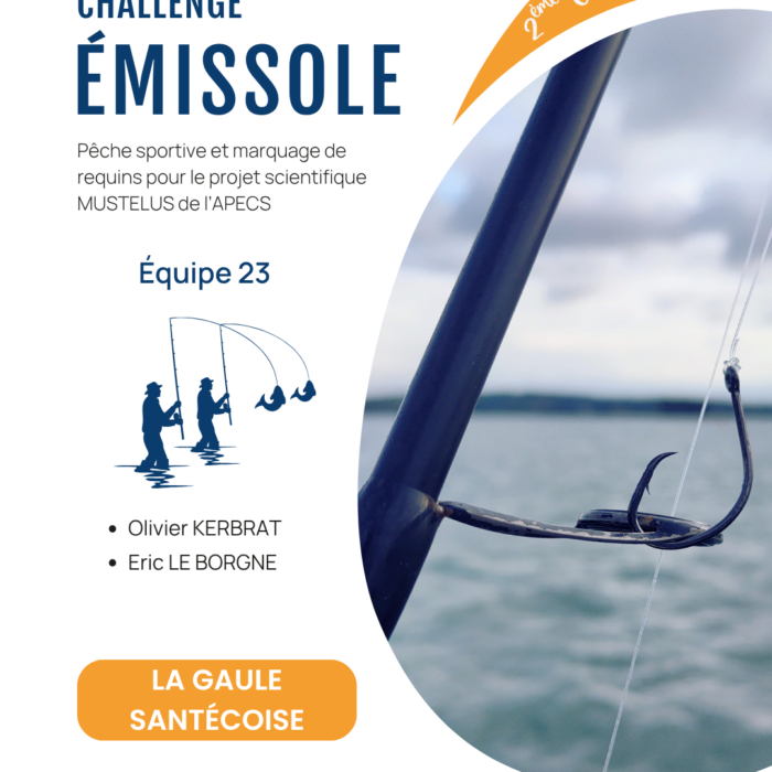 APECS Bilan de la seconde édition du challenge émissole