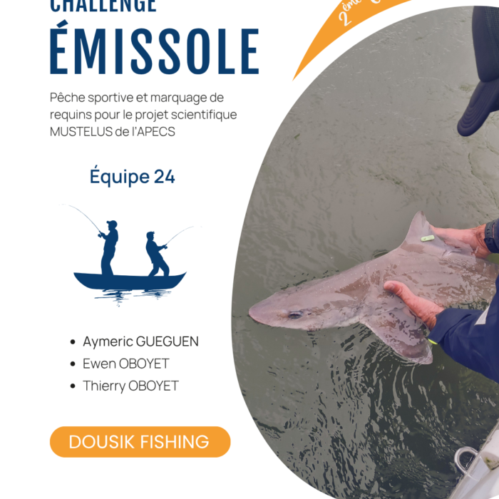 APECS Bilan de la seconde édition du challenge émissole